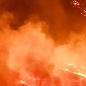 Meet your Posher, Jonah